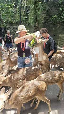 Bali Zoo