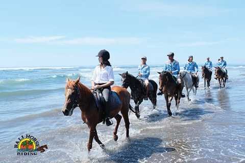 Beach Horse Riding