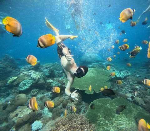 Blue Lagoon Snorkeling