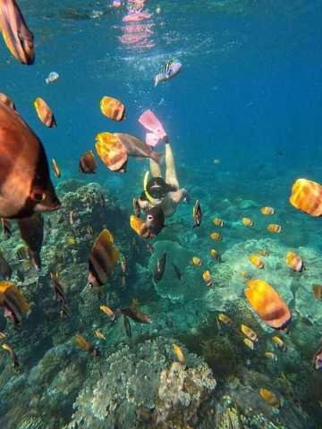 Blue Lagoon Snorkeling
