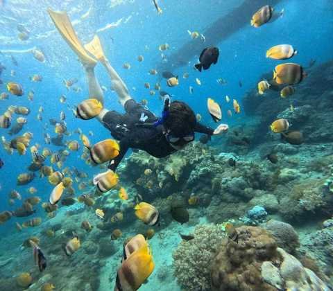 Blue Lagoon Snorkeling