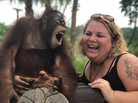 Breakfast with Orangutan