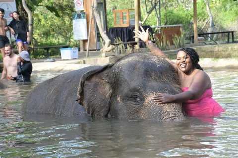 Elephant Mud Fun Bathing