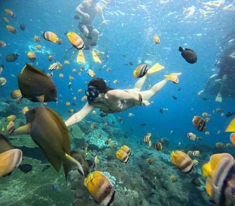 Nusa Penida Snorkeling Tour