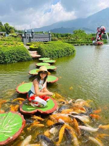 North Bali garden stop