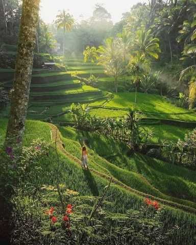 Ubud Shopping and Temple Tour